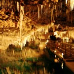 Naturaleza